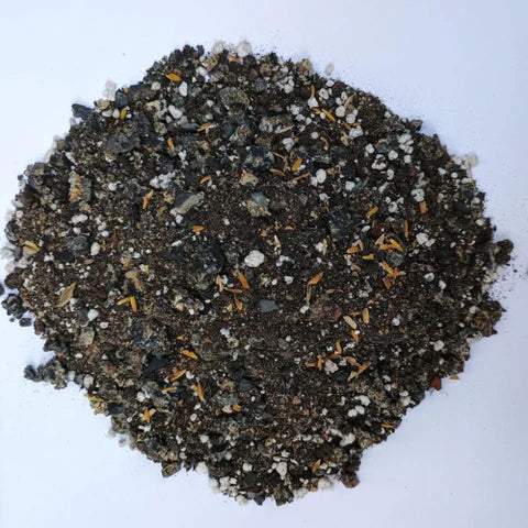 Cactus and Succulent Potting Mix(100grams)